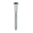 TORNILLO BARRAQUERO