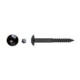 TORNILLO INVIOLABLE